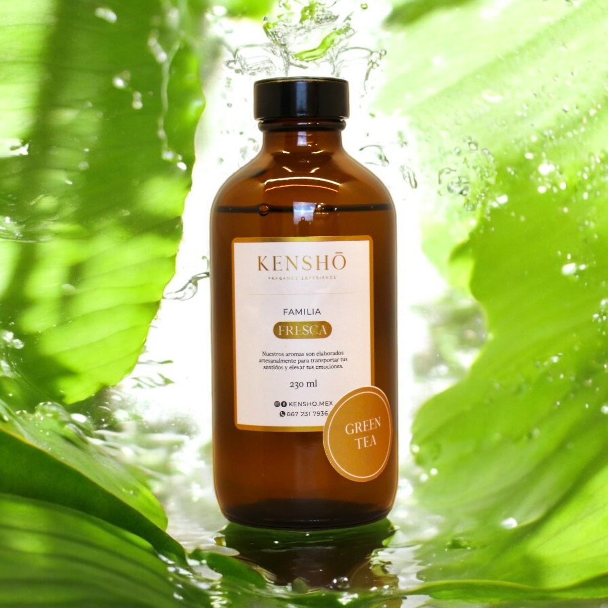 アロマグッズ KENCOS3 CAGAMI / KENCOS3